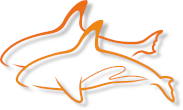 orcas Logo